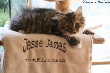 Auszug_Jesse_James