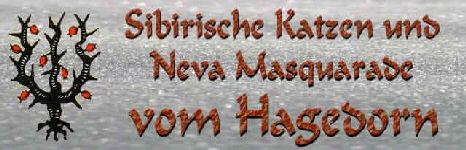 Banner vom Hagedorn